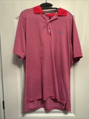 Men's Pink and Blue Striped Polo Shirt - Classic Short-Sleeve